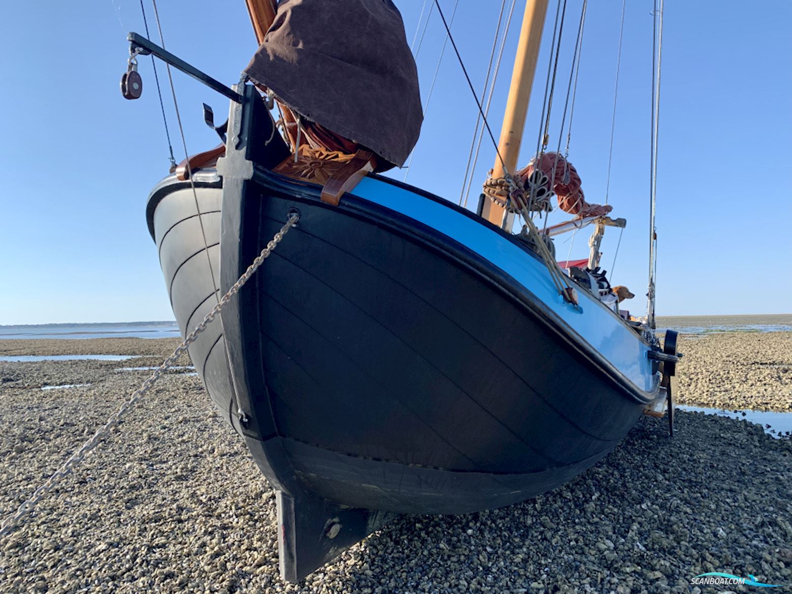 Harlaar aak Aak 9.10