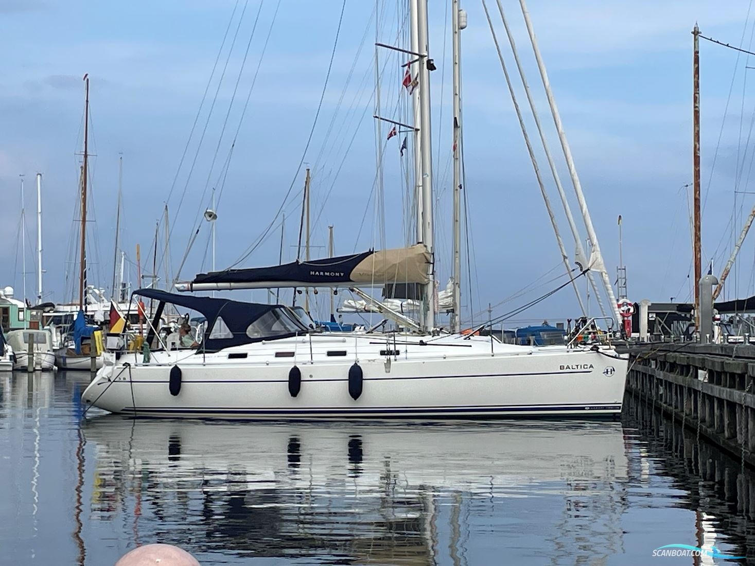 Harmony 38