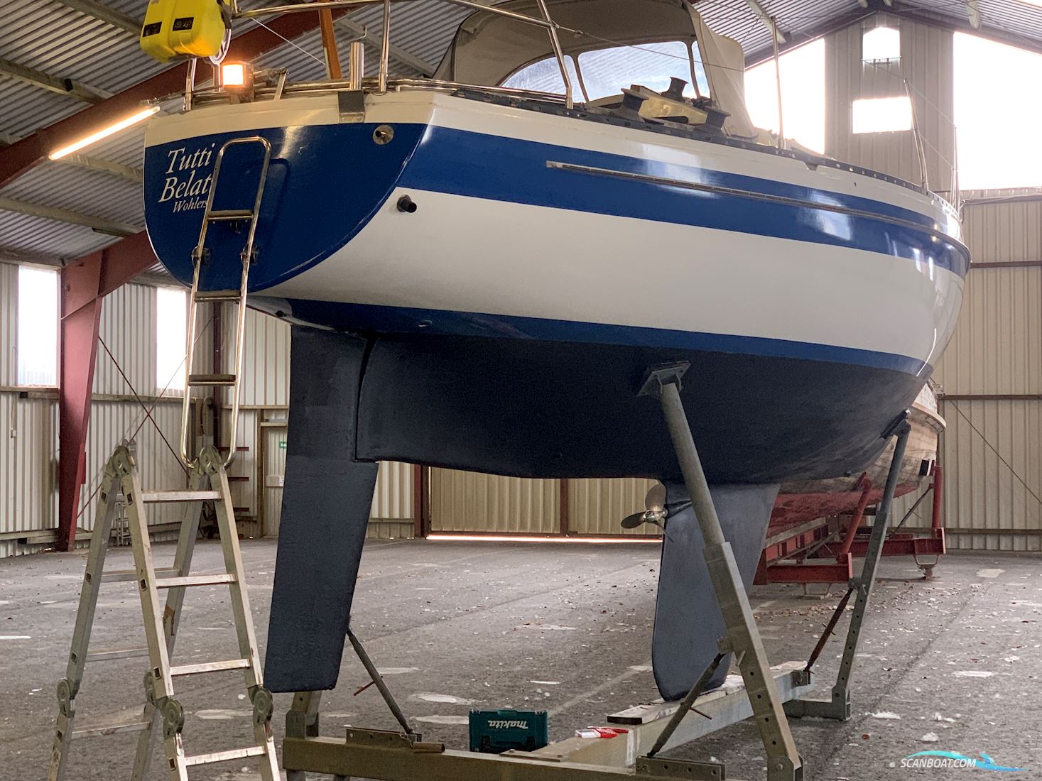 Helmsmann 31