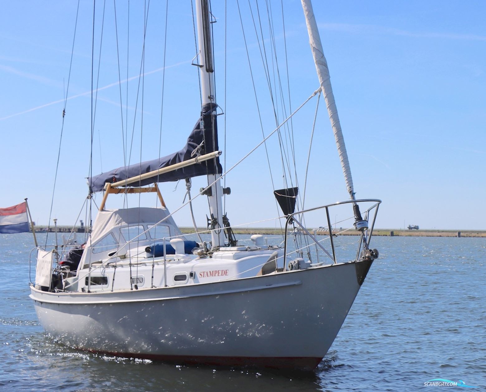 Holman and Pye  Rustler 31