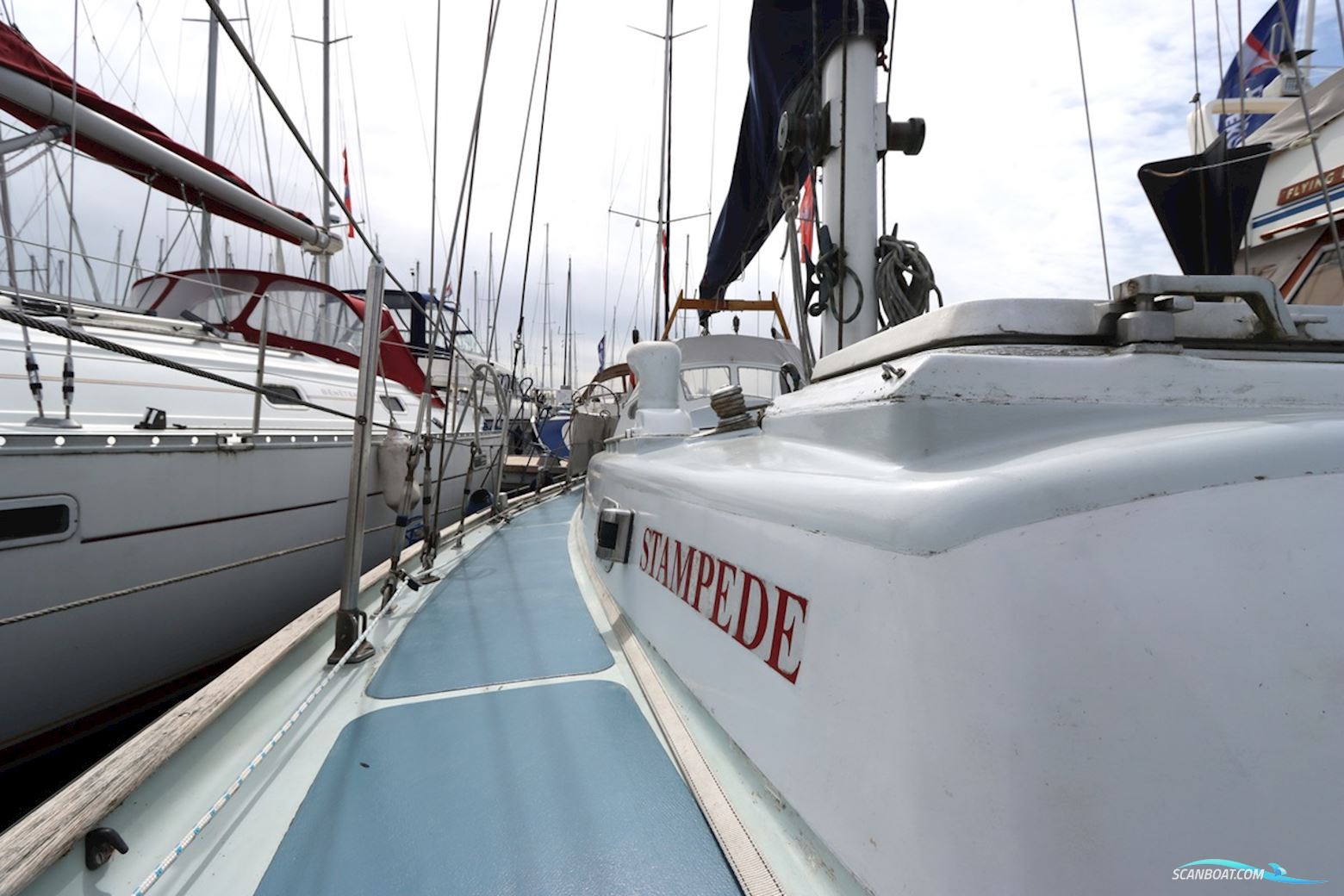 Holman and Pye  Rustler 31