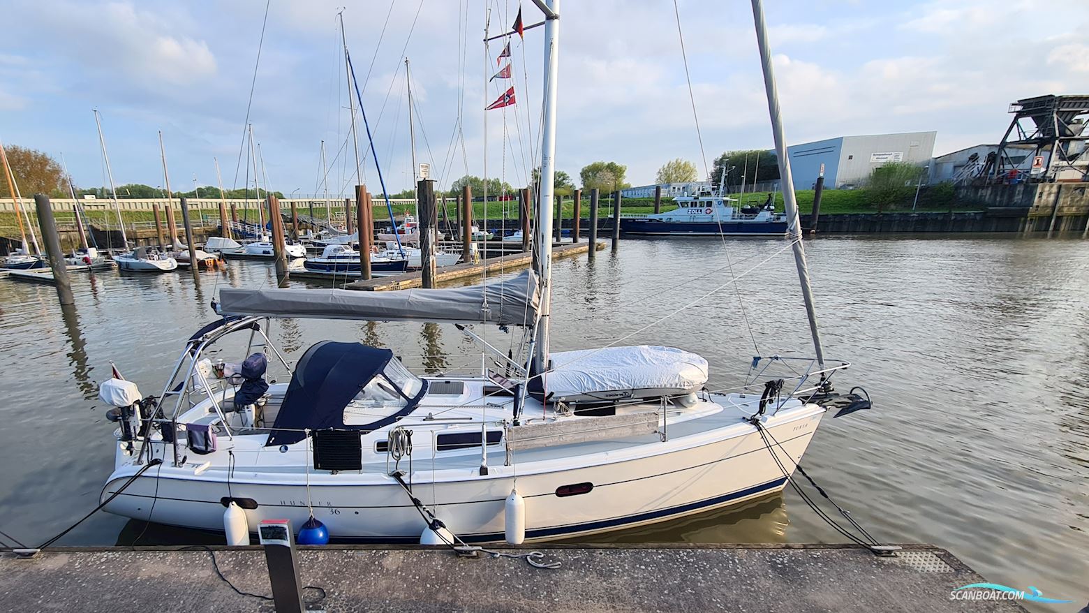 Hunter 36