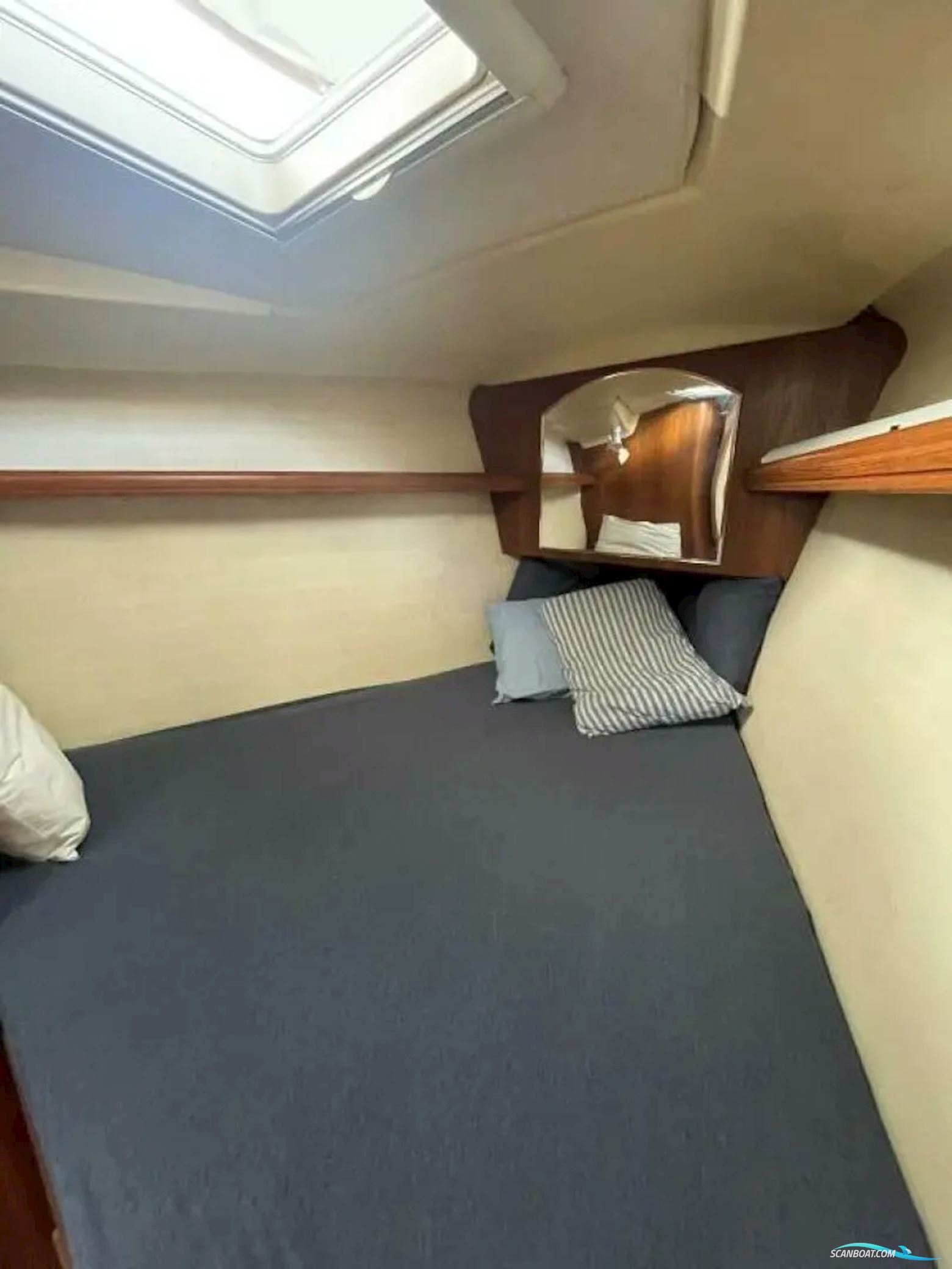 Hunter 44