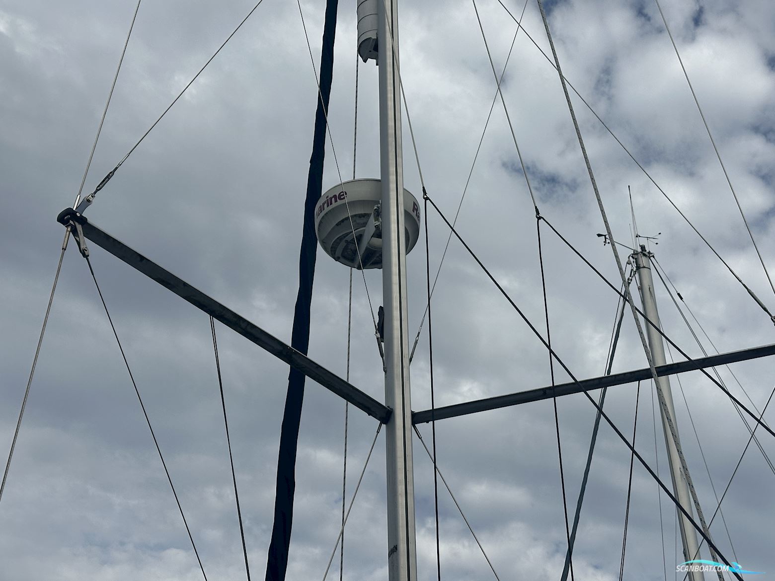 Hunter Legend 33