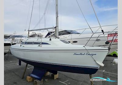 Hunter Ranger 265 Sejlbåd 1997, med Yanmar motor, England