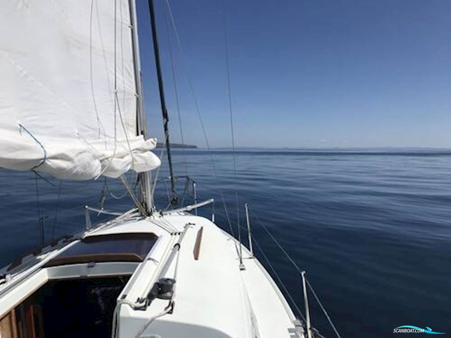 Hunter Ranger 265