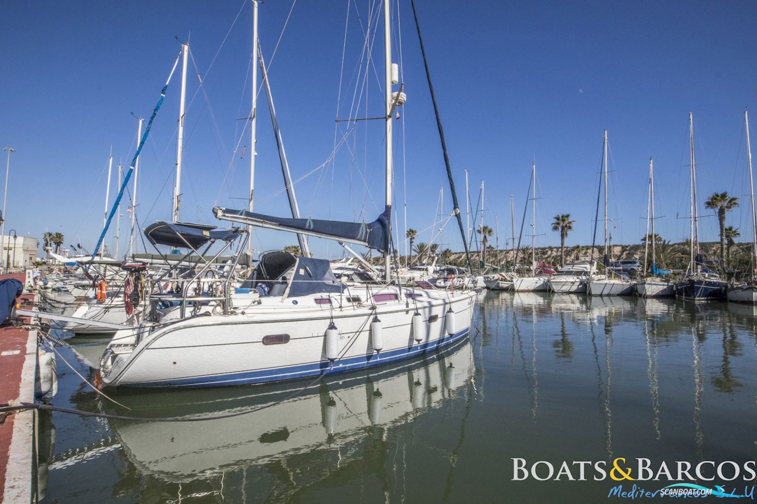 Hunter Sun Legend 36