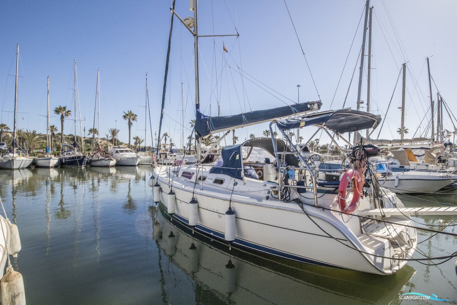 Hunter Sun Legend 36