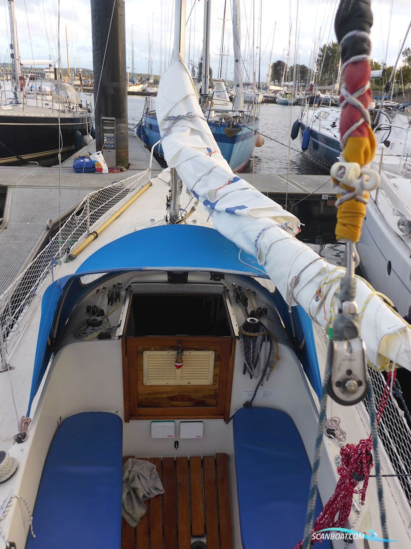 IF-Boot, Marieholm 24, Internationales Folkeboot