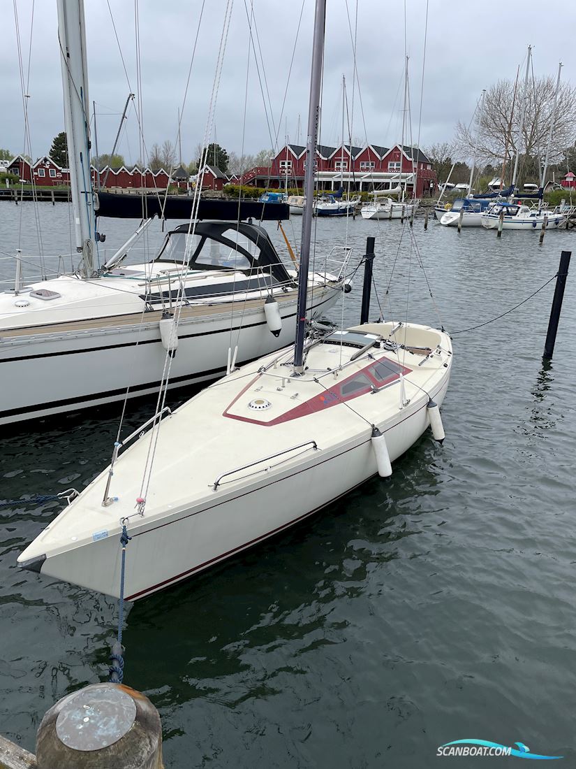 International 806 Sejlbåd 1981, Danmark