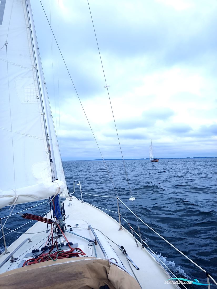 Internationales Folkeboot 