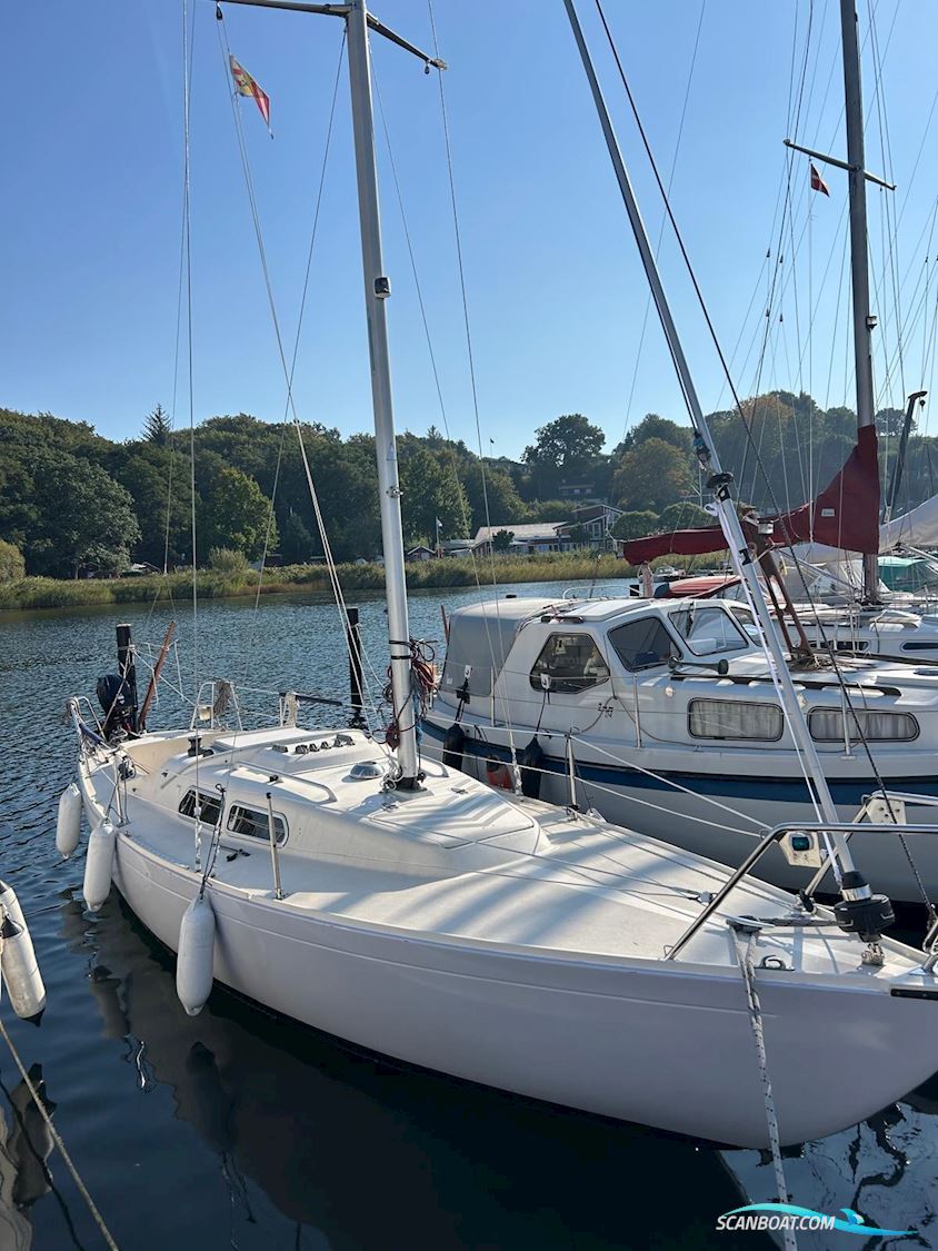 Internationales Folkeboot