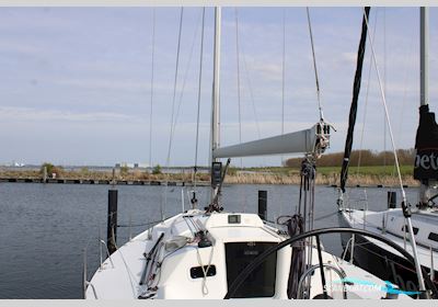 J Boats J109 Sejlbåd 2005, Holland