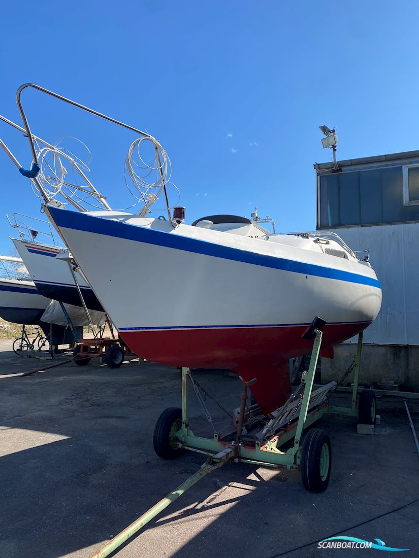 Jasmine 25