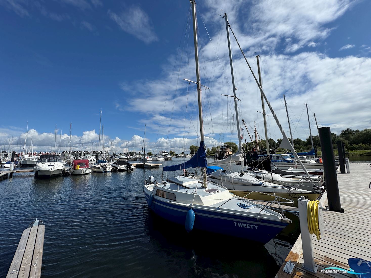 Jeanneau Love Love Reserviert