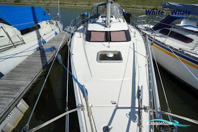 Jeanneau Sun Dream 28 Sejlbåd 1990, med Yanmar motor, Holland