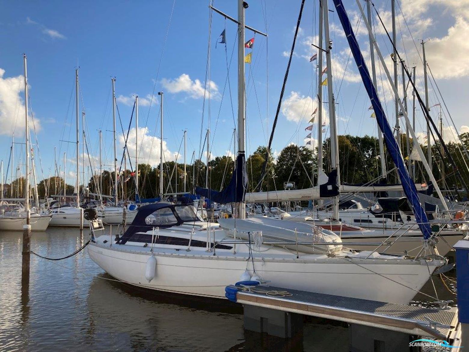 Jeanneau Sun Rise 34 Sejlbåd 1985, med Yanmar motor, Holland
