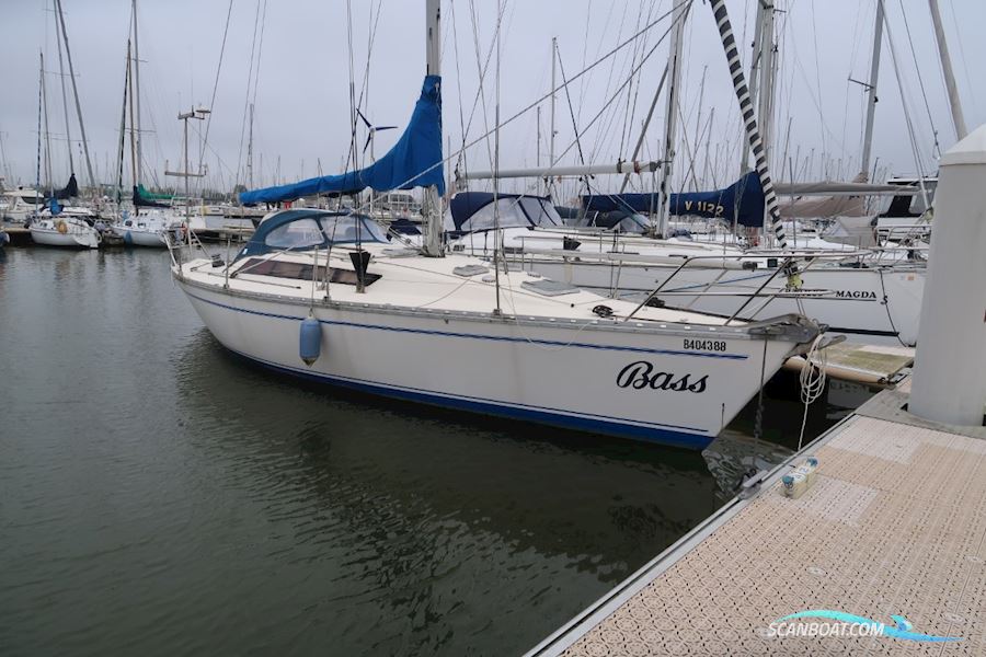 Jeanneau Sun Shine 36 Sejlbåd 1985, med Volvo Penta 2003 motor, Belgien