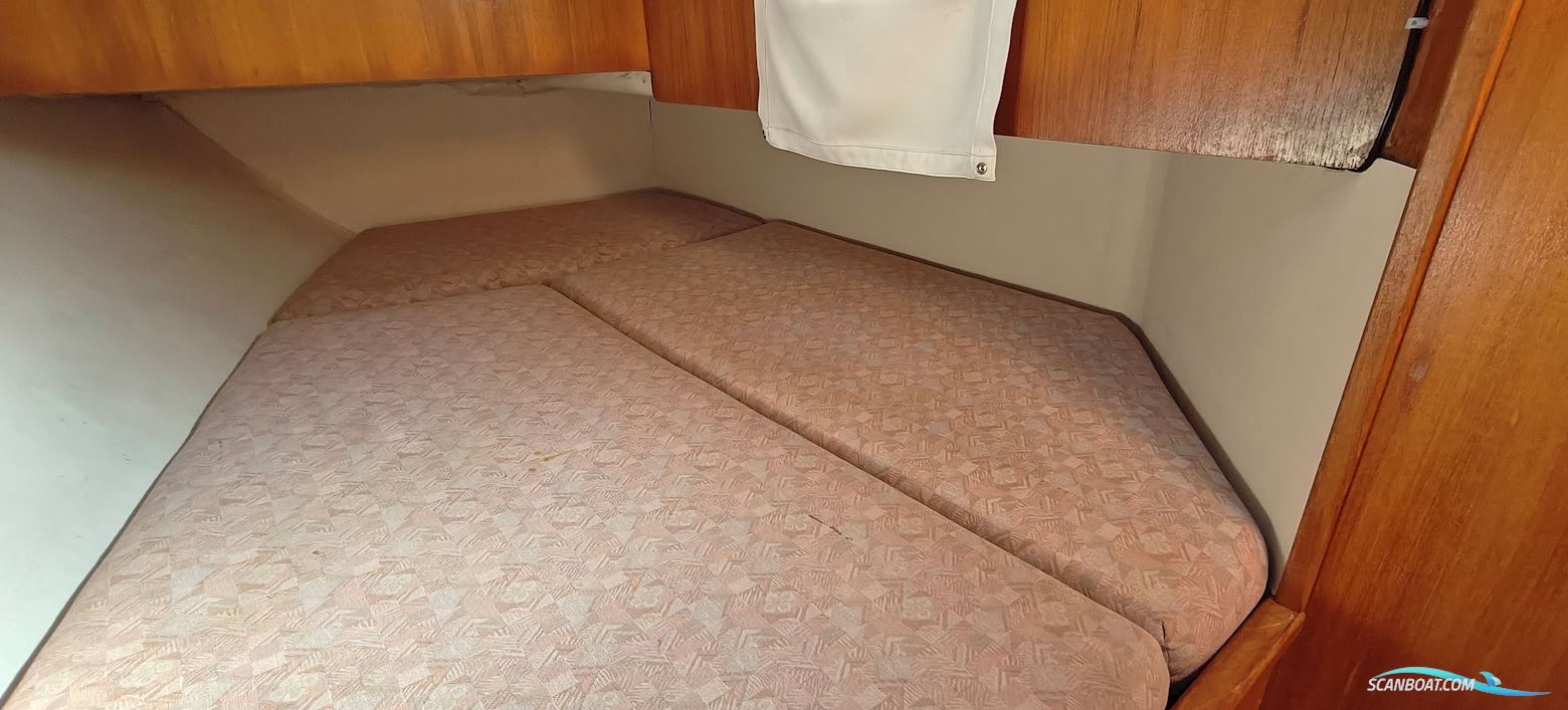 Jeanneau Sunshine Régate 38