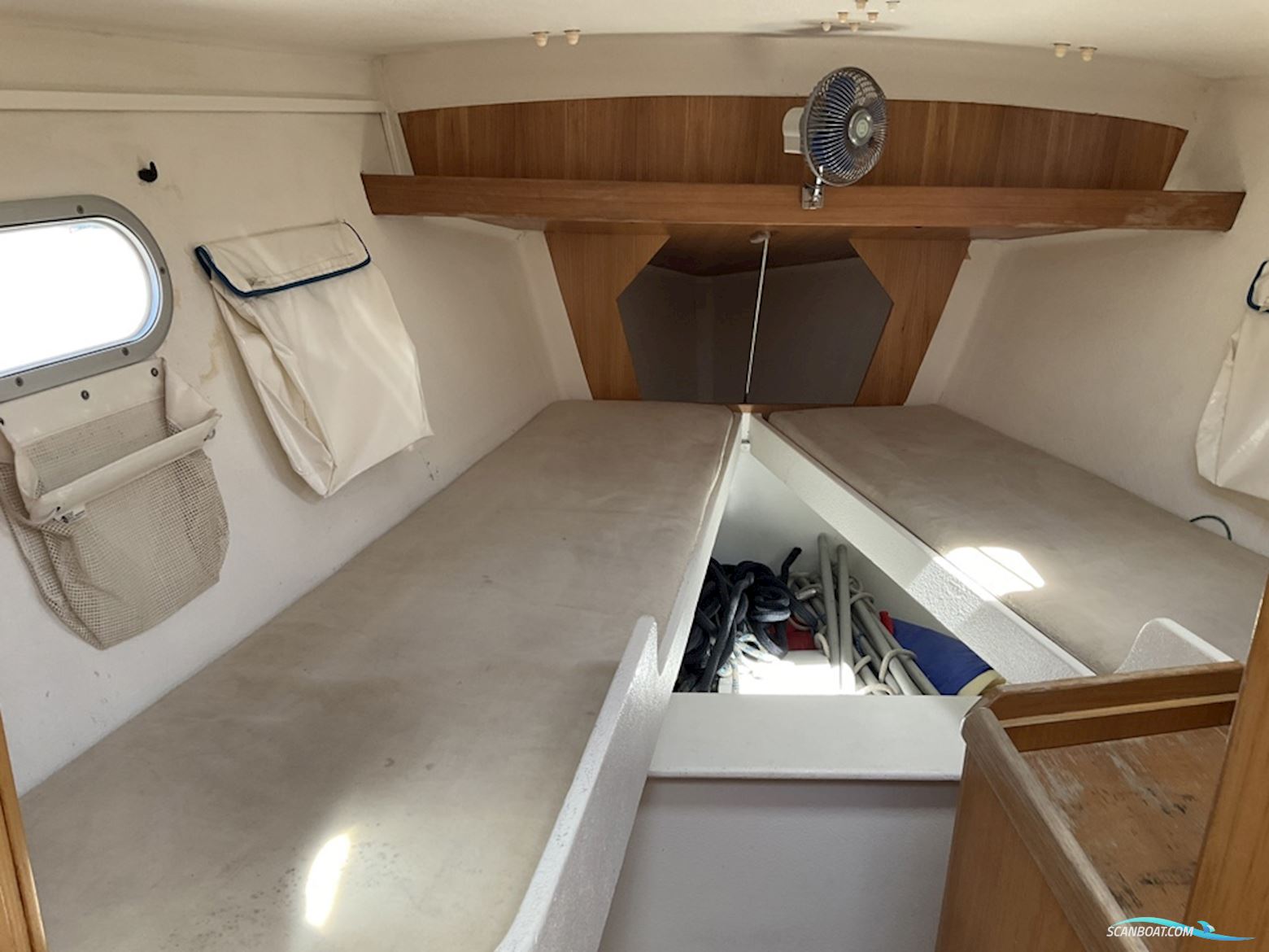 Jfa Petrel 42