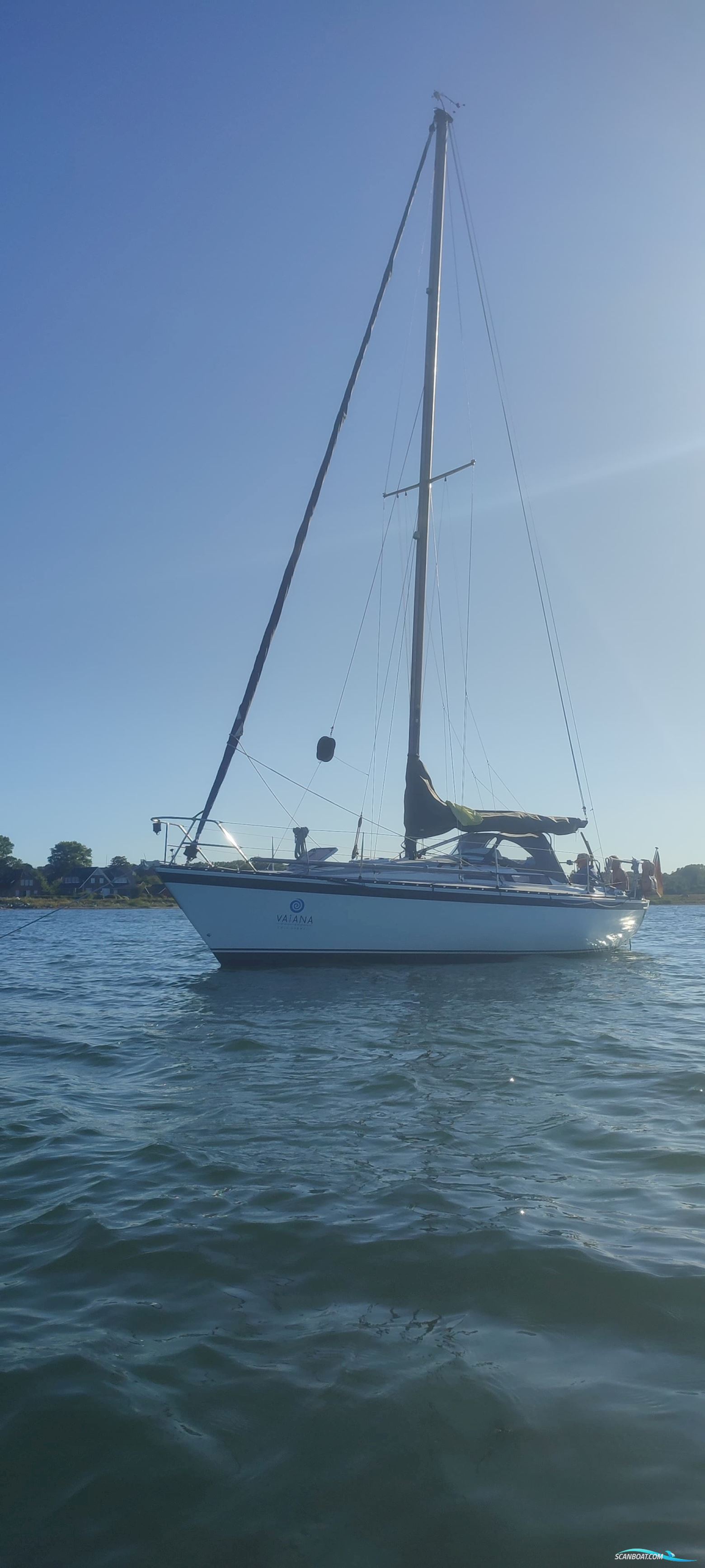 Kalik/Lewin Kalik 30