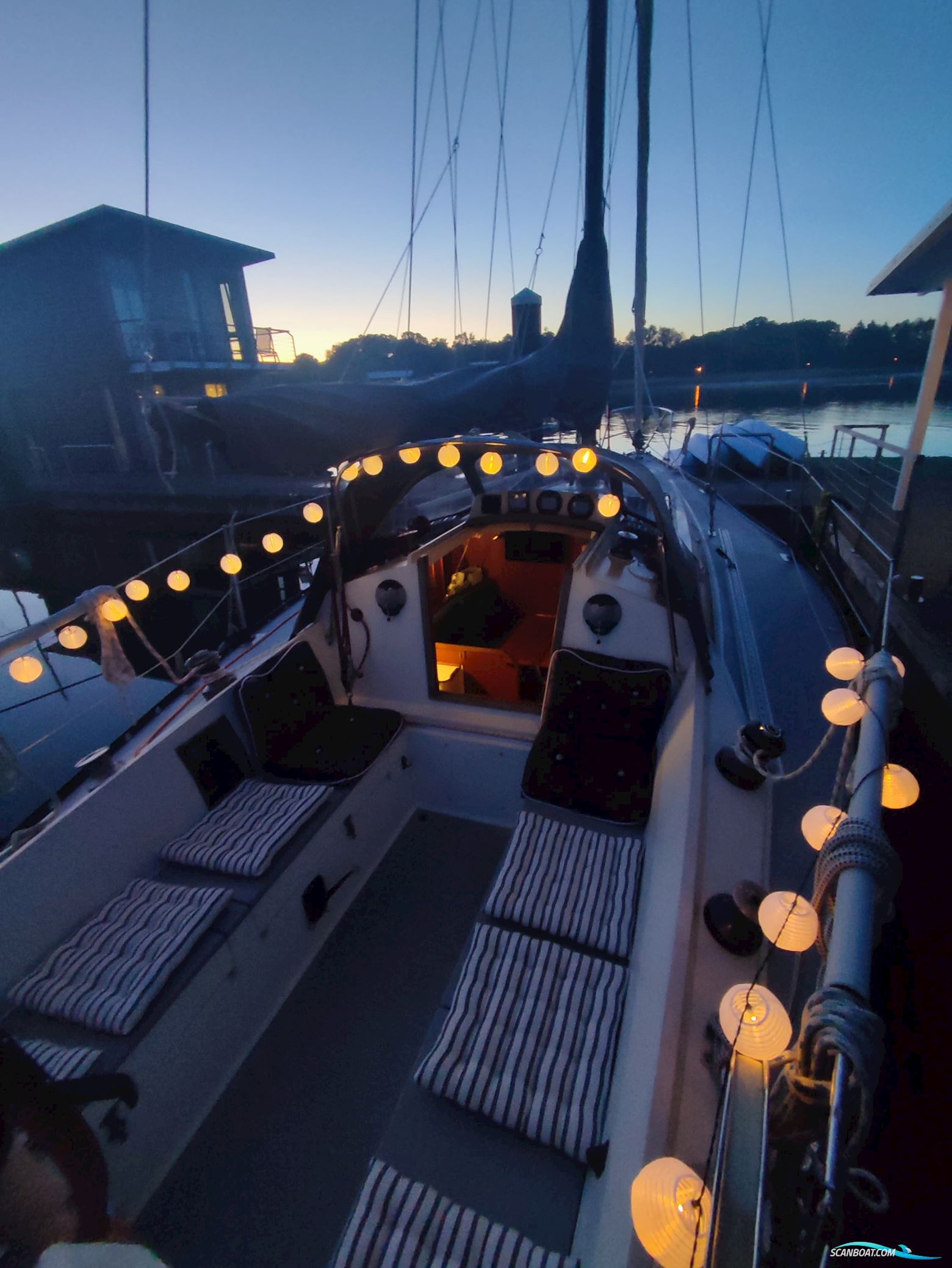 Kalik/Lewin Kalik 30