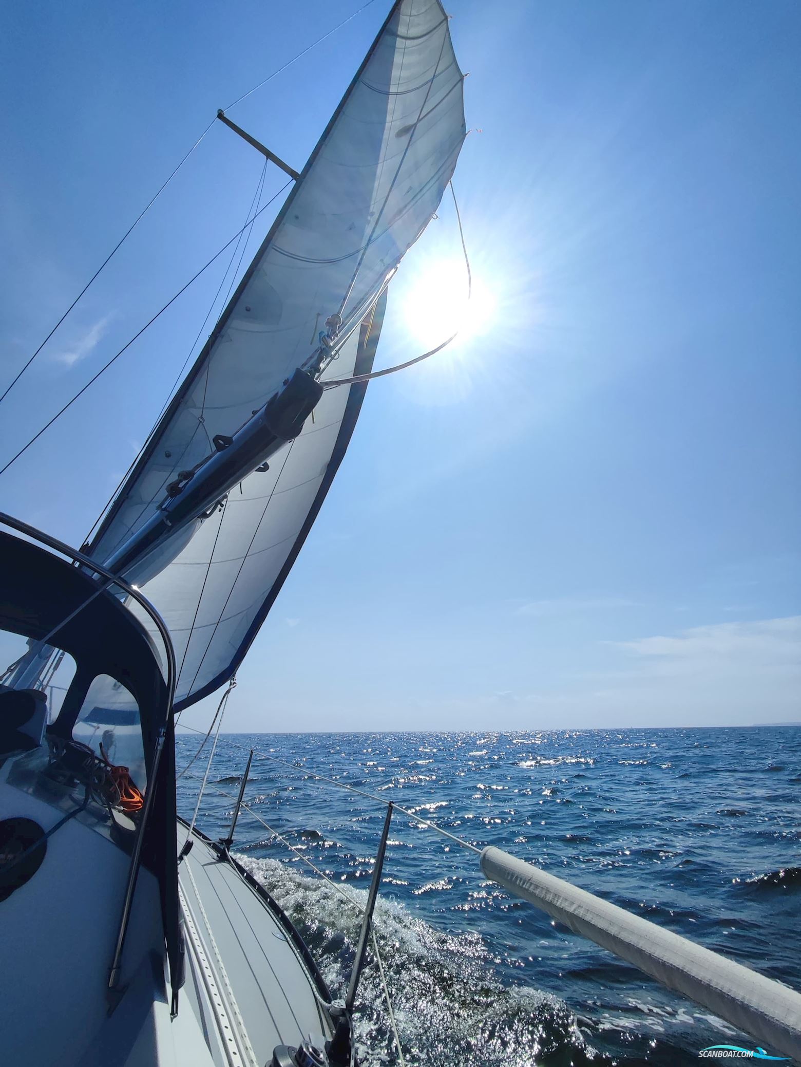 Kalik/Lewin Kalik 30