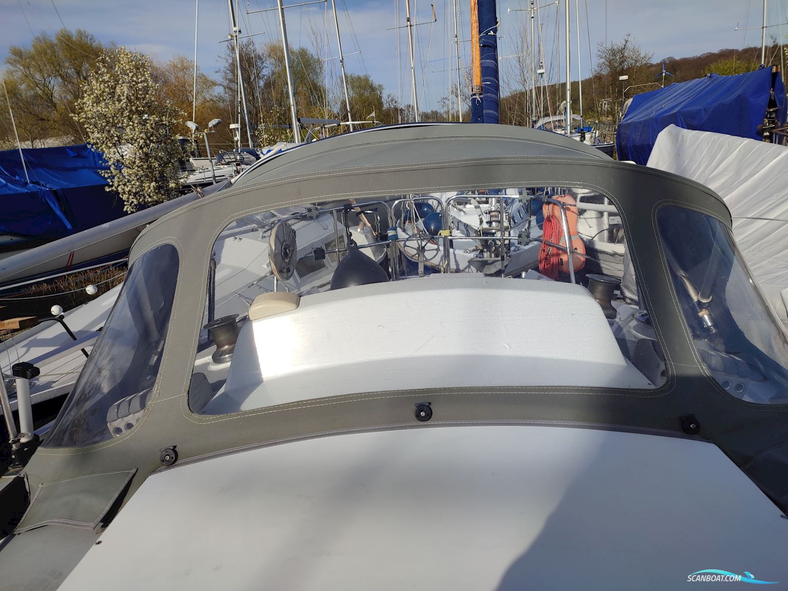 Kalik/Lewin Kalik 30