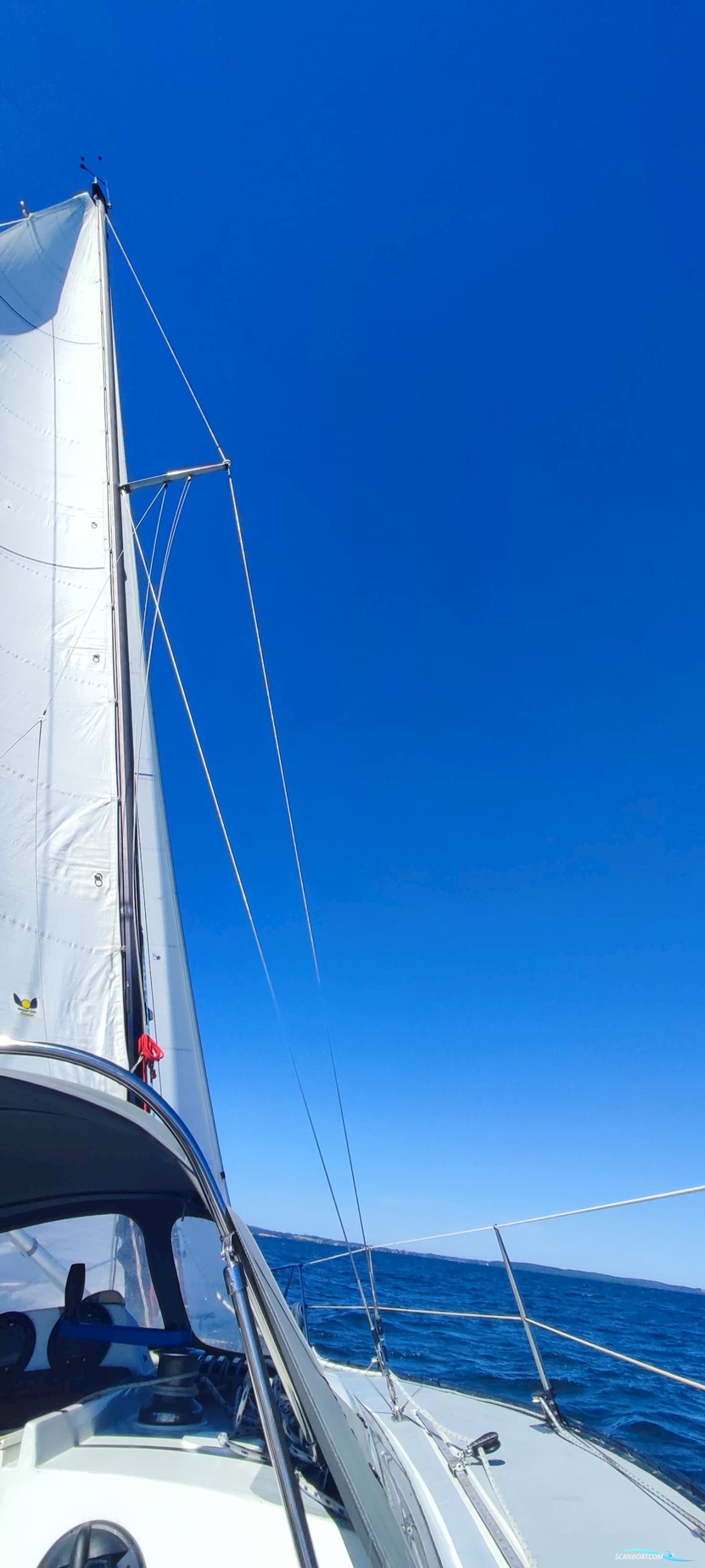 Kalik/Lewin Kalik 30