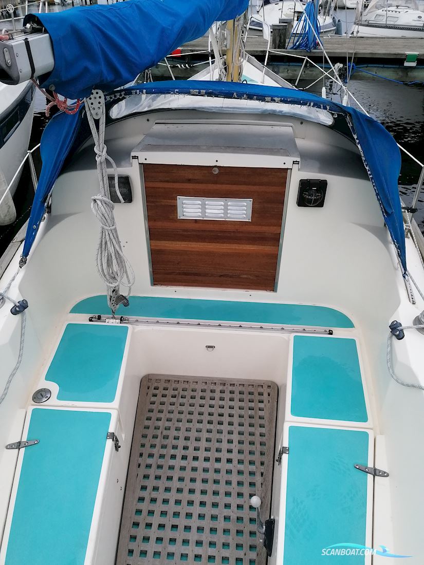 Kings Cruiser 29 Bud Ønskes