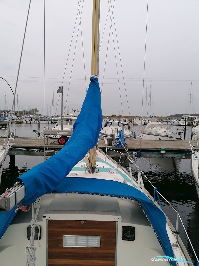 Kings Cruiser 29 Bud Ønskes