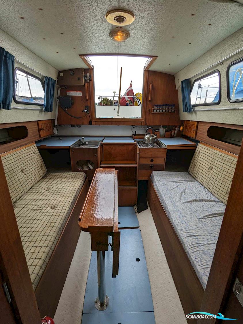 King's Cruiser 29