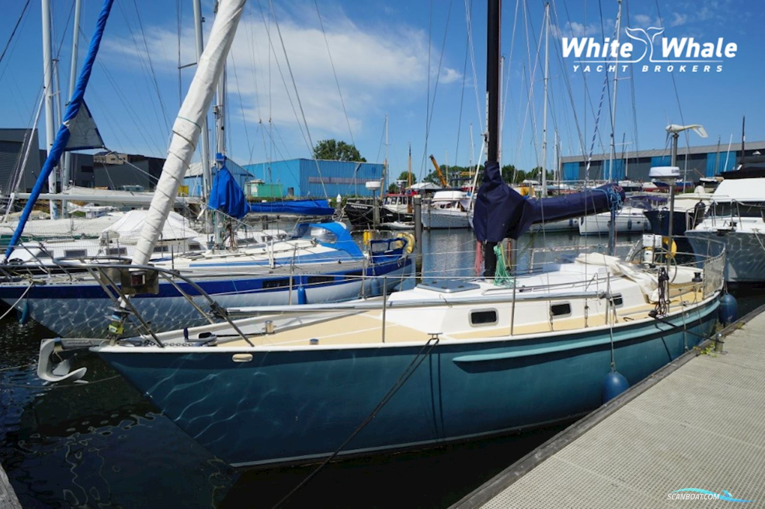 Koopmans 33
