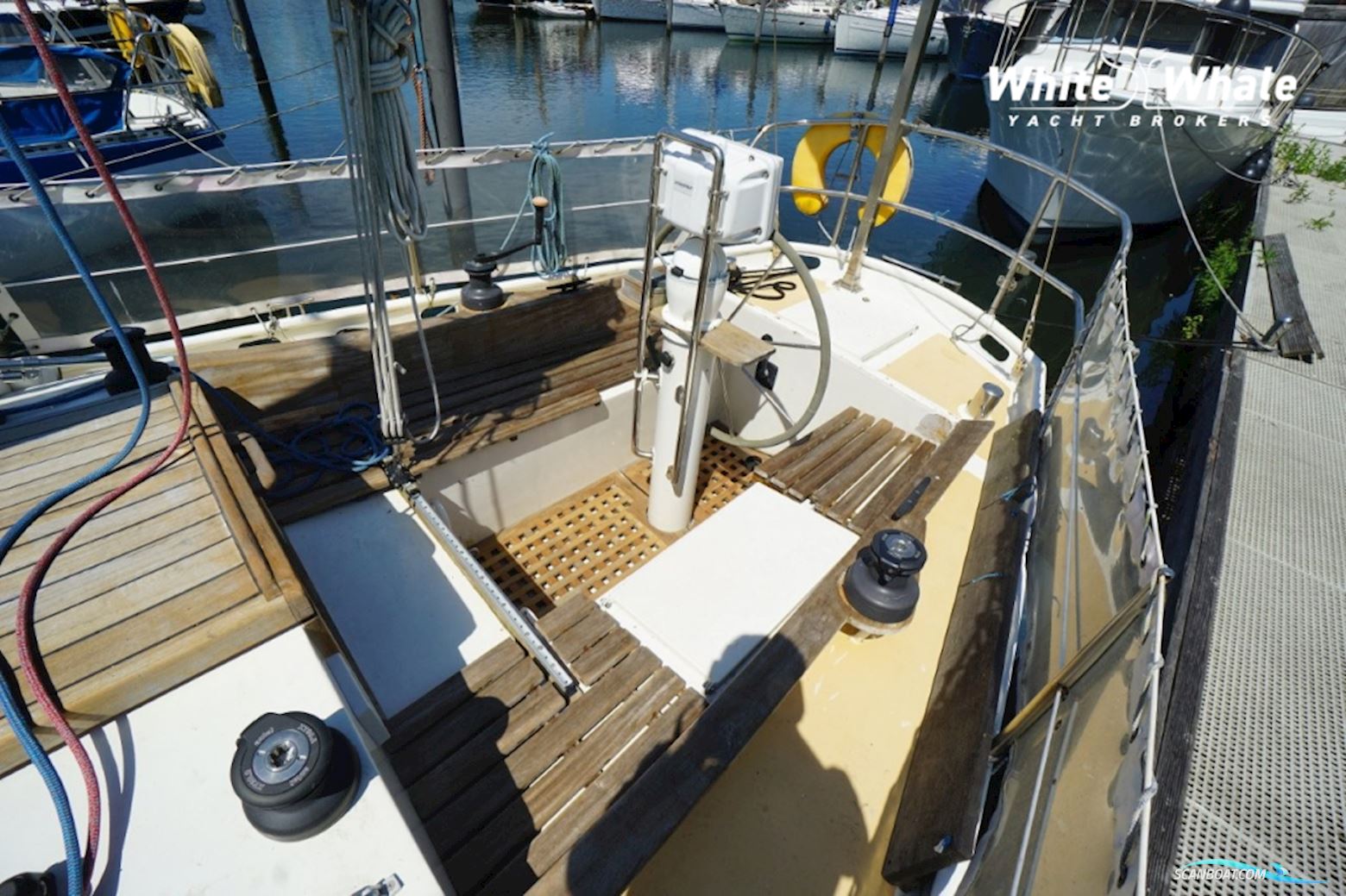 Koopmans 33