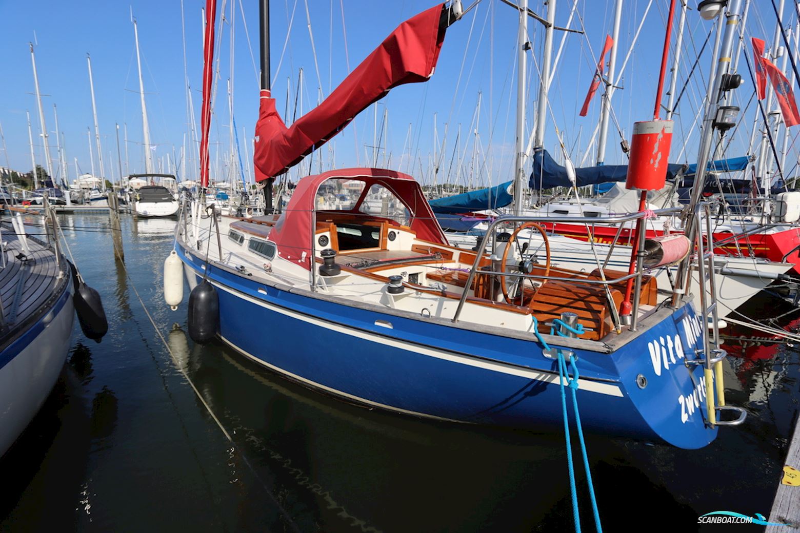 Koopmans 36