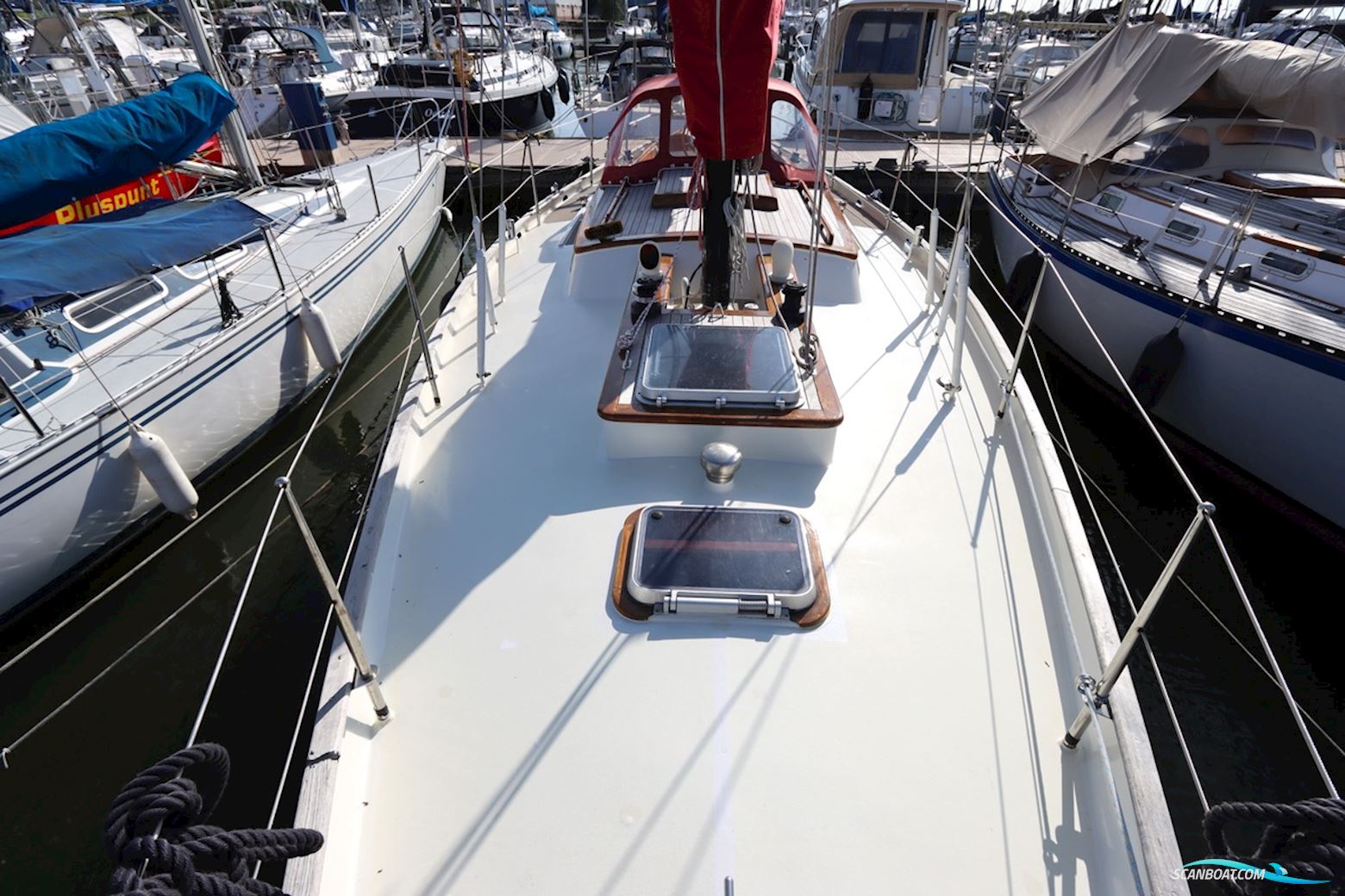 Koopmans 36