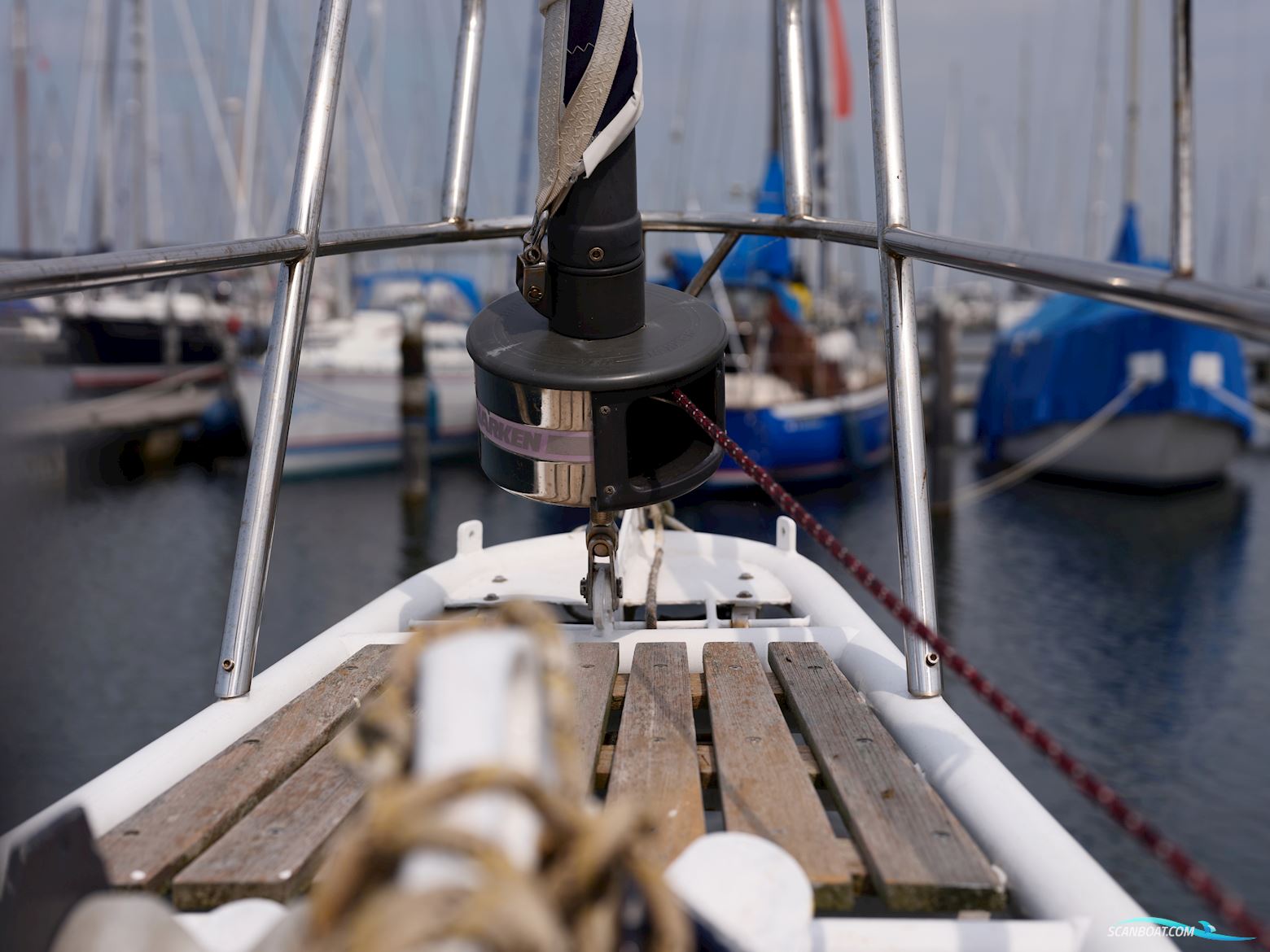 Koopmans 40