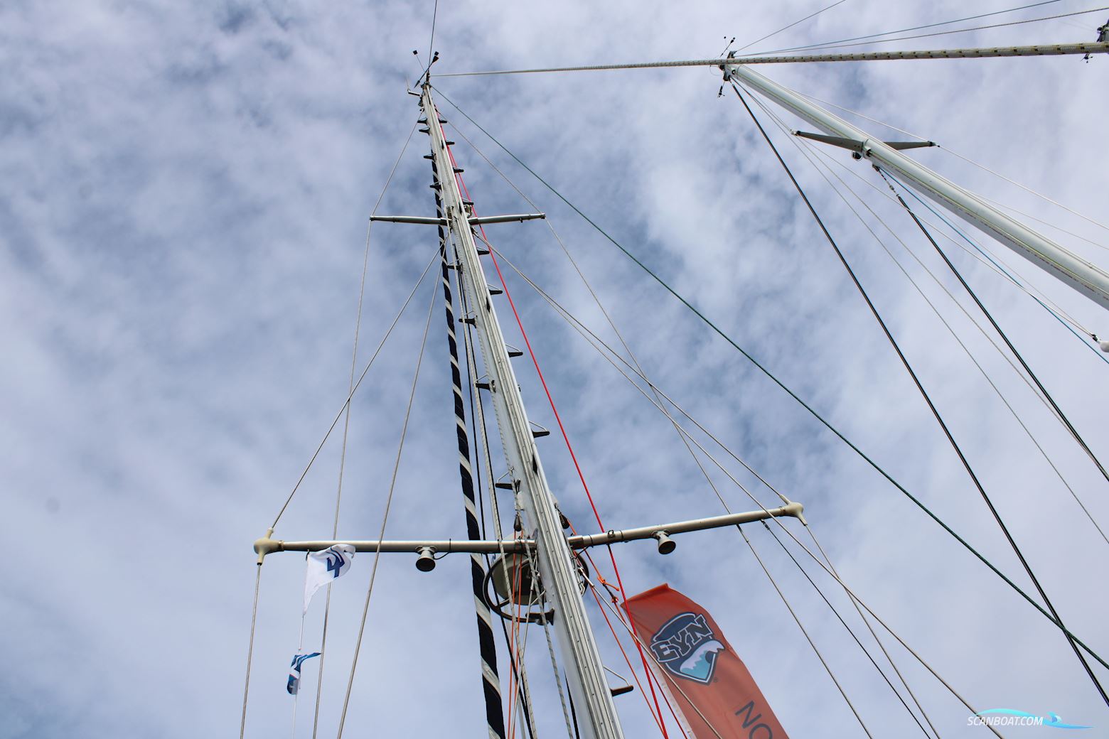 Koopmans 40