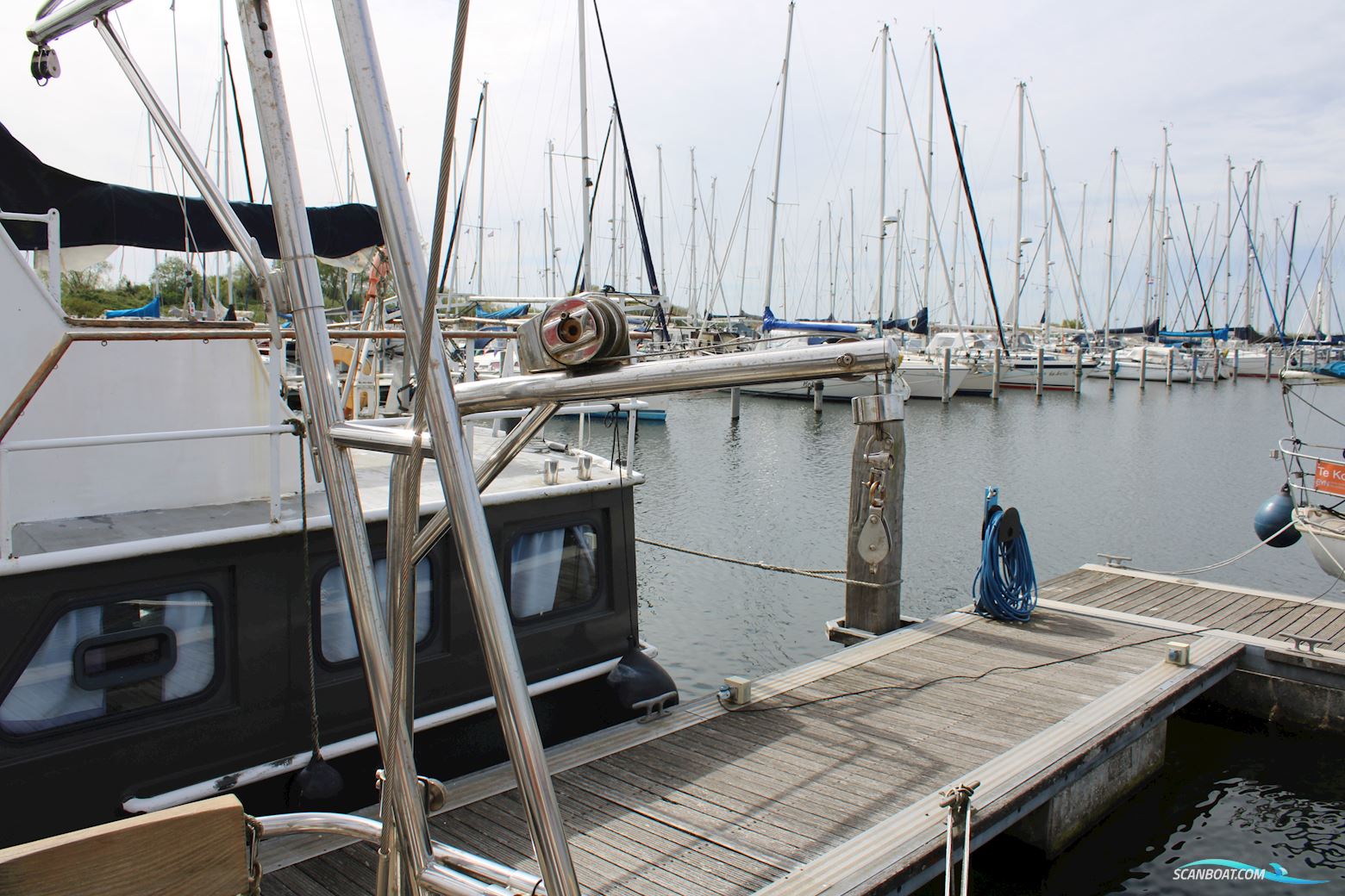 Koopmans 40