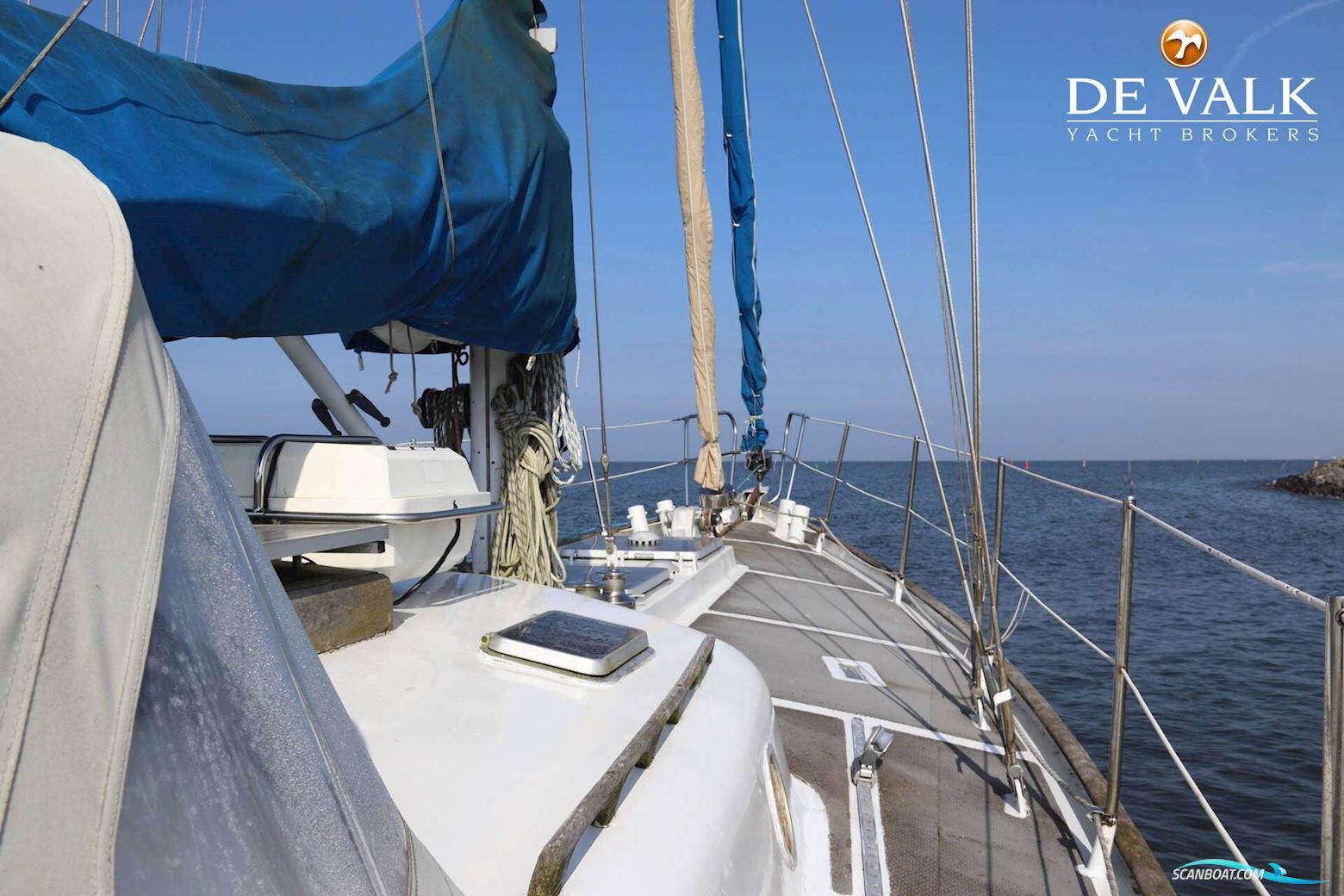 Koopmans 42