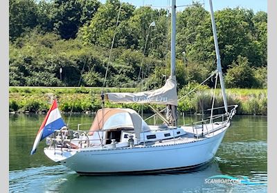Le Comte ALC 40 S&S Sejlbåd 1974, Holland
