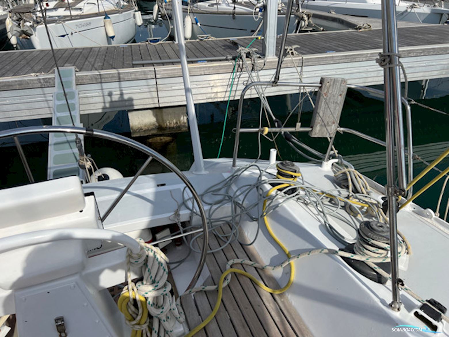 Leguen-Hemidy Levrier Des Mers 16