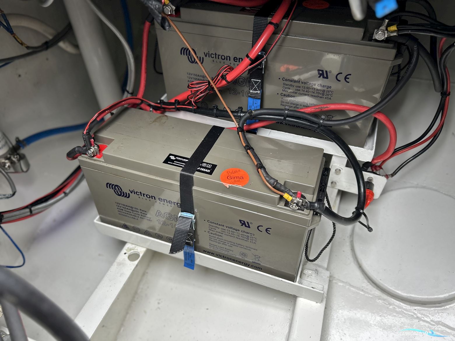 Lemsteraak Beluga Roefuitvoering Jachtuitvoering