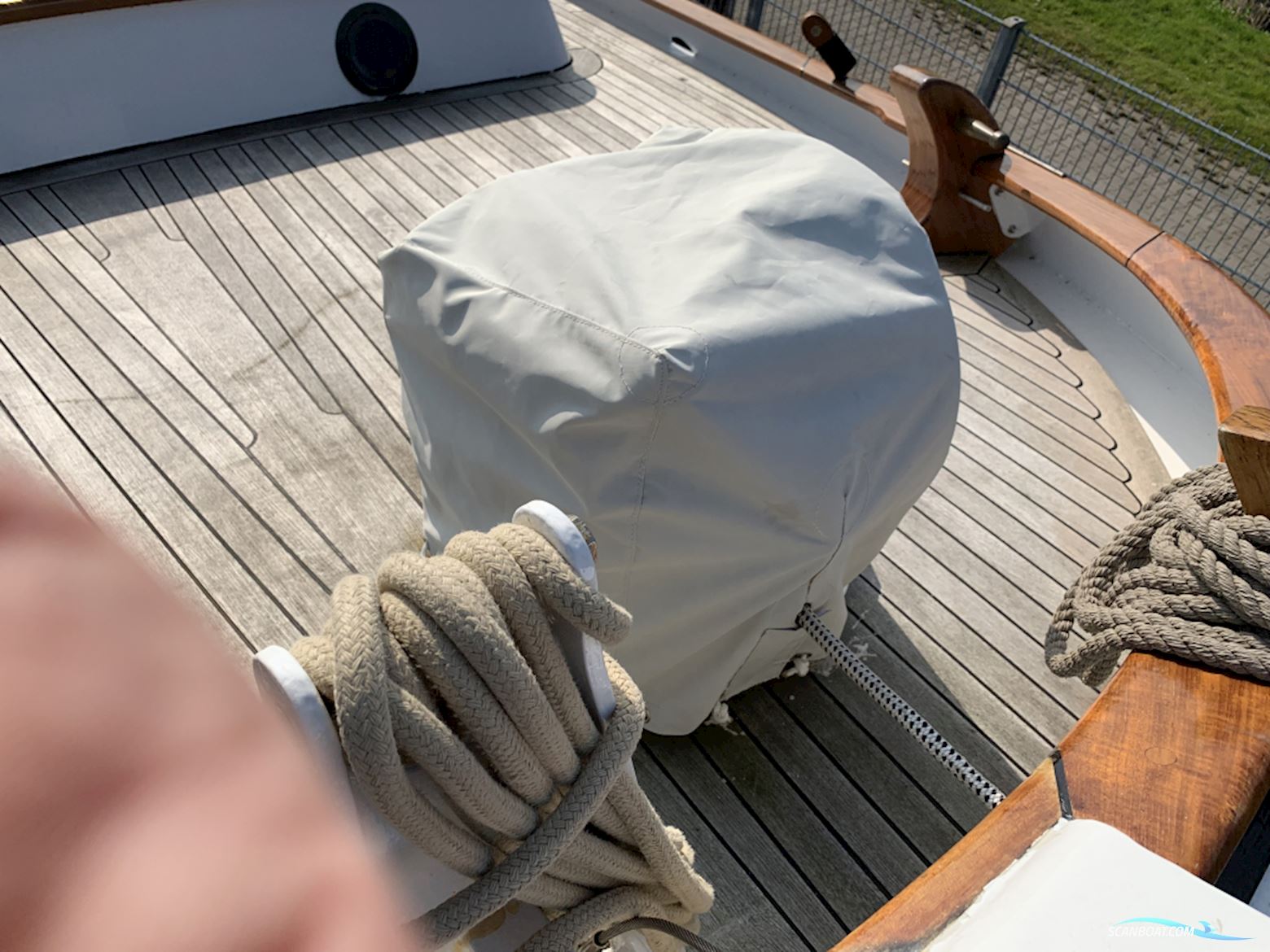 Lemsteraak Blom Roefmodel Anna