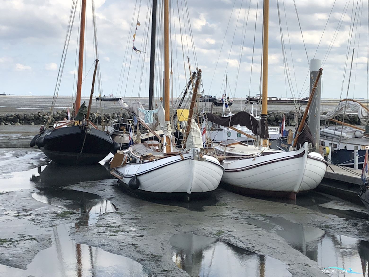 Lemsteraak Blom Roefmodel Anna