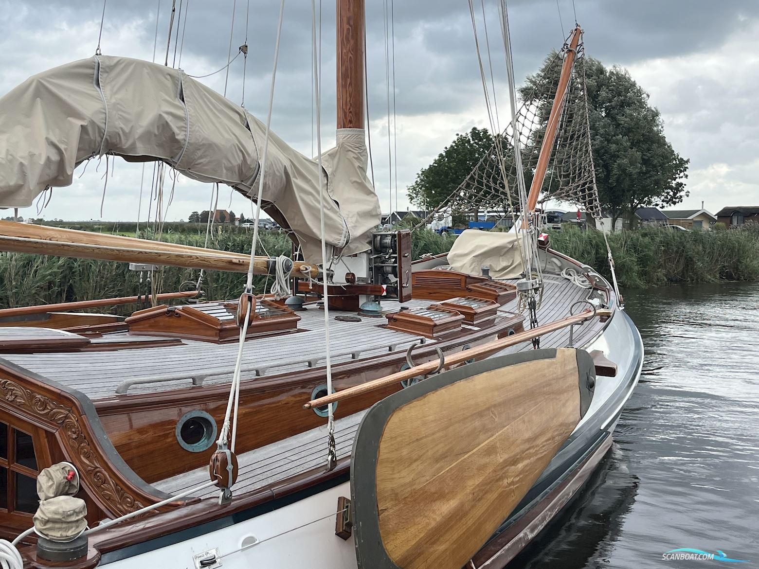 Lemsteraak Gouden Leeuw - Roefaak Hoek Design