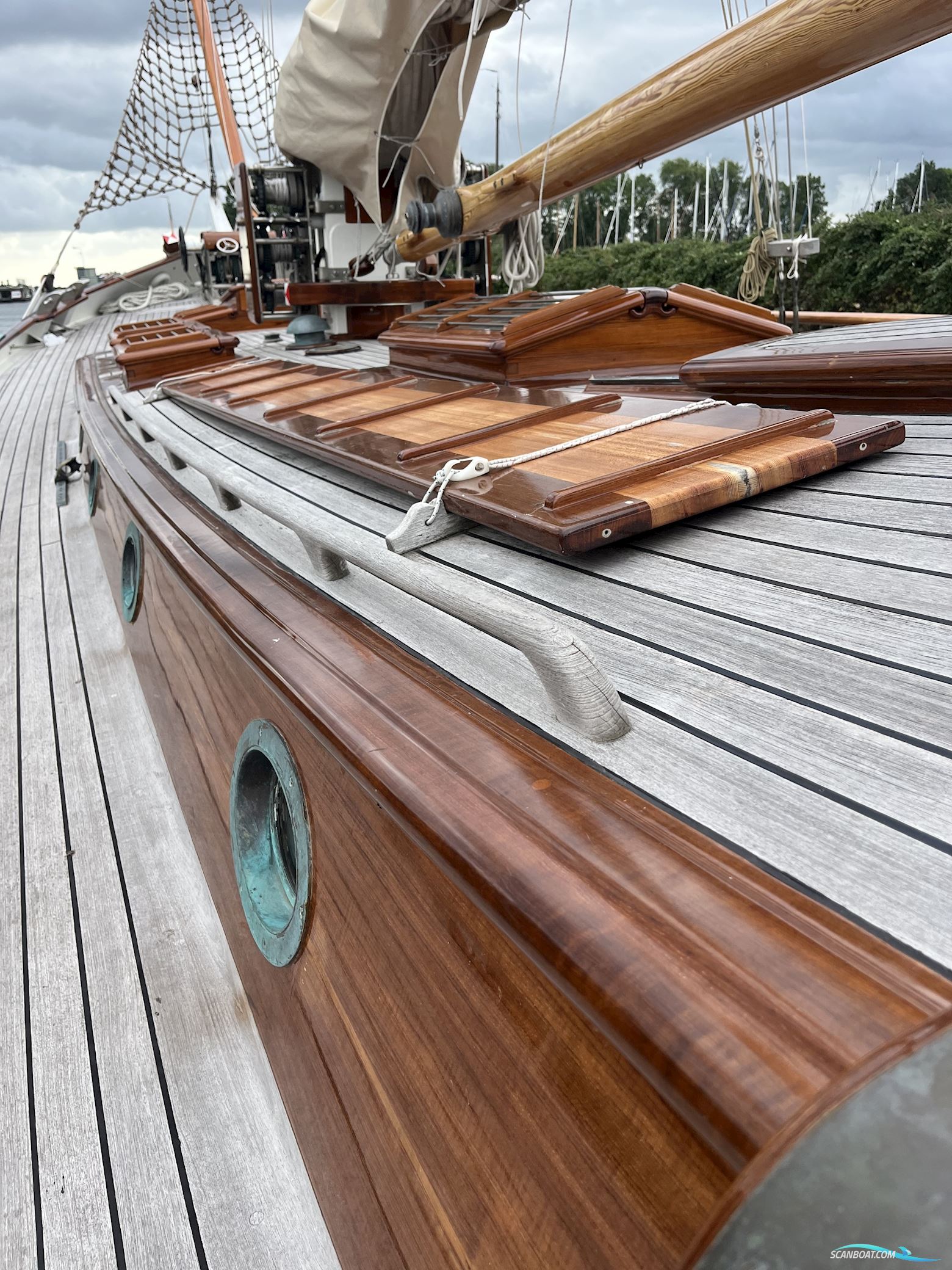 Lemsteraak Gouden Leeuw - Roefaak Hoek Design