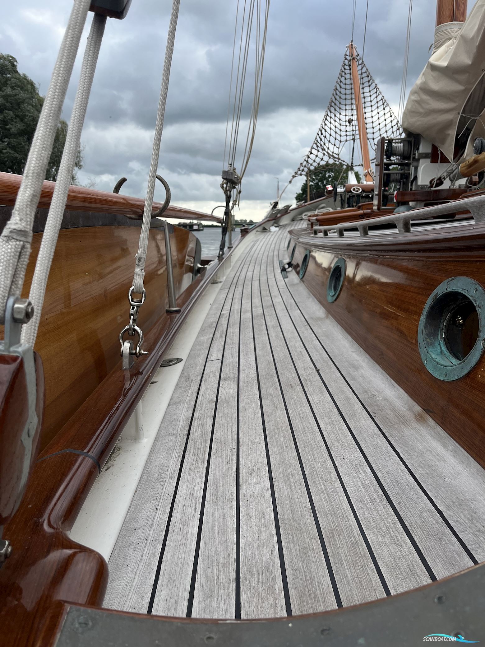 Lemsteraak Gouden Leeuw - Roefaak Hoek Design