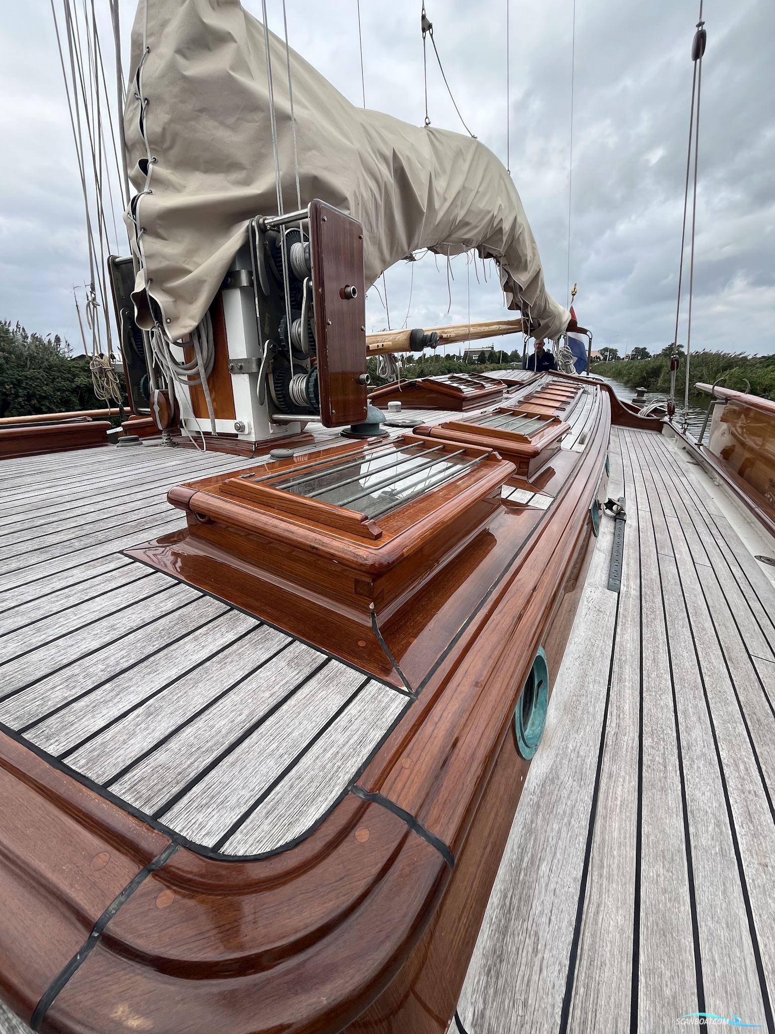 Lemsteraak Gouden Leeuw - Roefaak Hoek Design