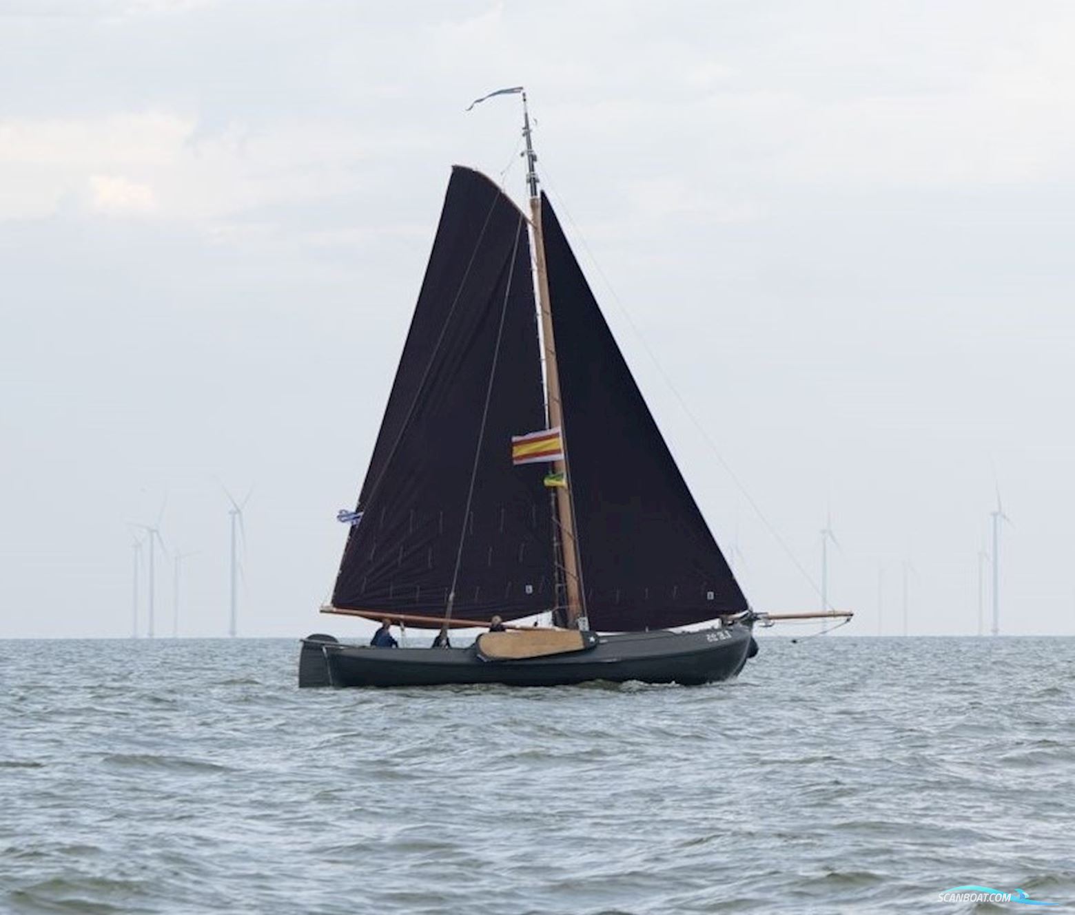 Lemsteraak LE 25 - Visserman Uitvoering Blom Sejlbåd 2011, med Mutsibushi motor, Holland